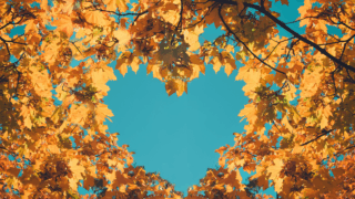 「伏線回収」と「エモさ」